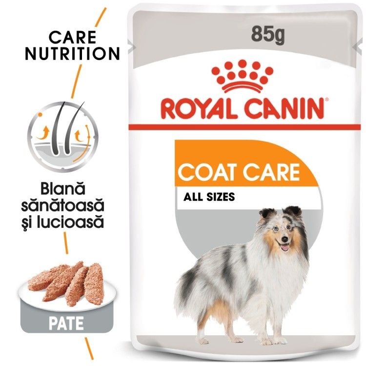 Royal Canin Coat Care Adult hrana umeda caine, blana sanatoasa si lucioasa (pate), 85 g 