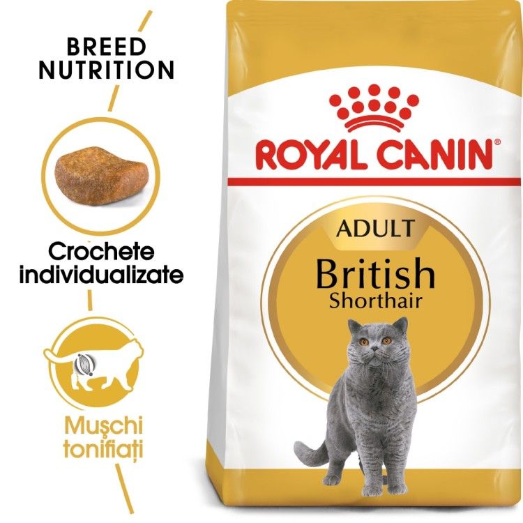 Royal Canin British Shorthair Adult hrana uscata pisica, 400 g 