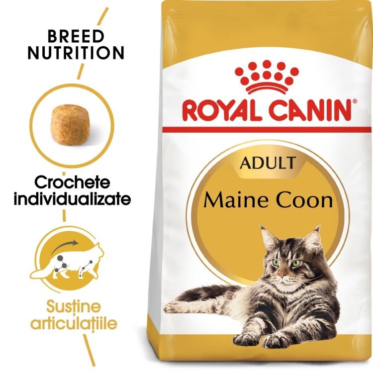 Royal Canin Maine Coon Adult hrana uscata pisica, 10 kg 