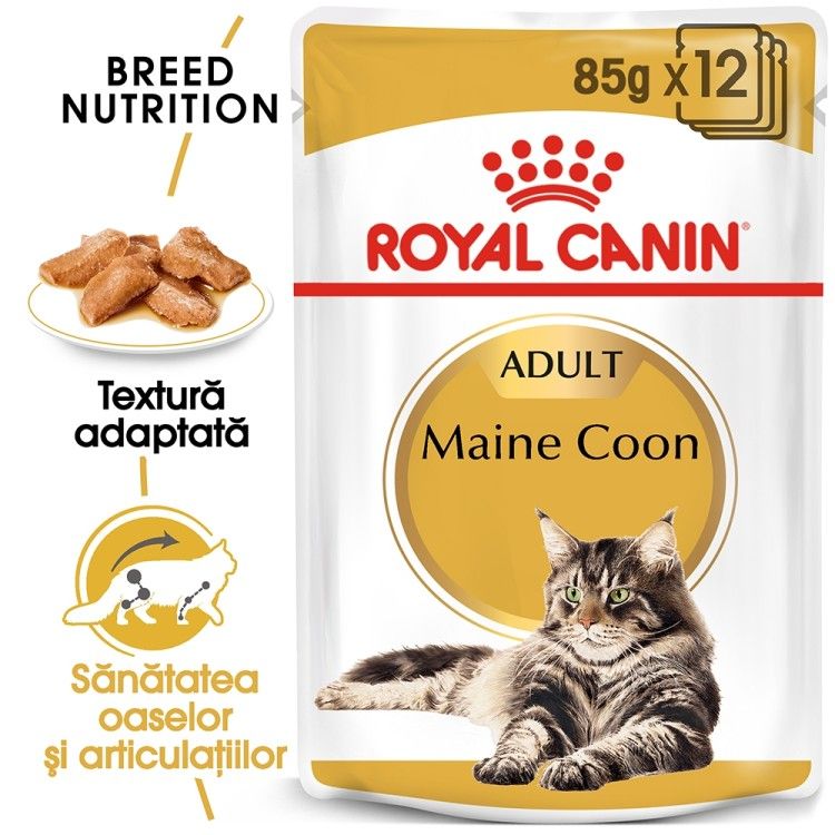 Royal Canin Maine Coon Adult hrana umeda pisica (in sos), 12 x 85 g 