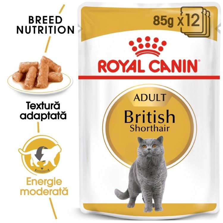 Royal Canin British Shorthair, 12 x 85 g - plic