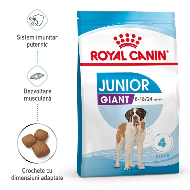 Royal Canin Giant Junior hrana uscata caine junior etapa 2 de crestere (Hrana Uscata - Caini)