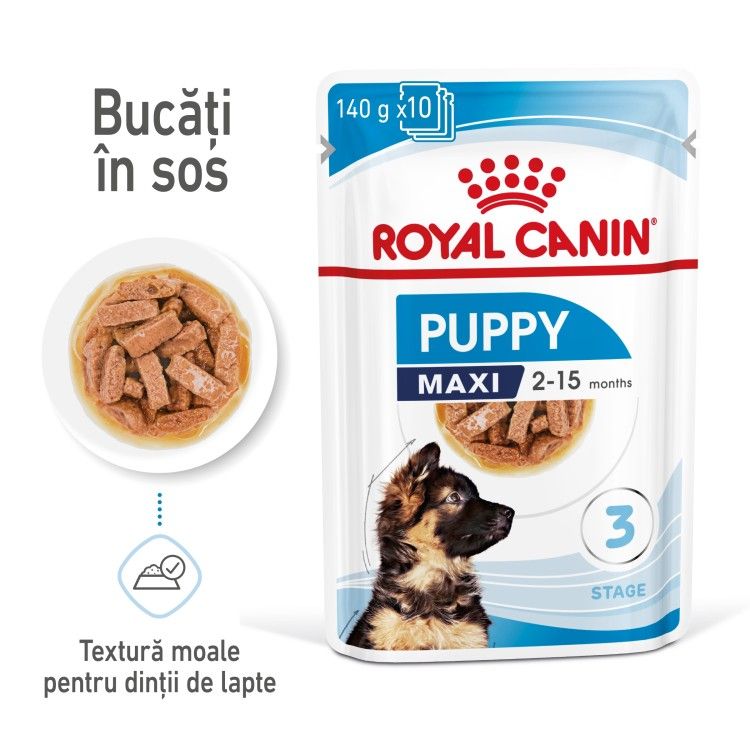 Royal Canin Maxi Puppy hrana umeda caine junior (in sos), 140 g (Hrana Umeda - Caini)