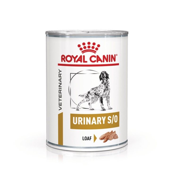ROYAL CANIN Urinary S/O, XS-XL, dieta veterinara, conserva hrana umeda caini, sistem urinar, (pate), 410 g (Diete Veterinare - Caini)