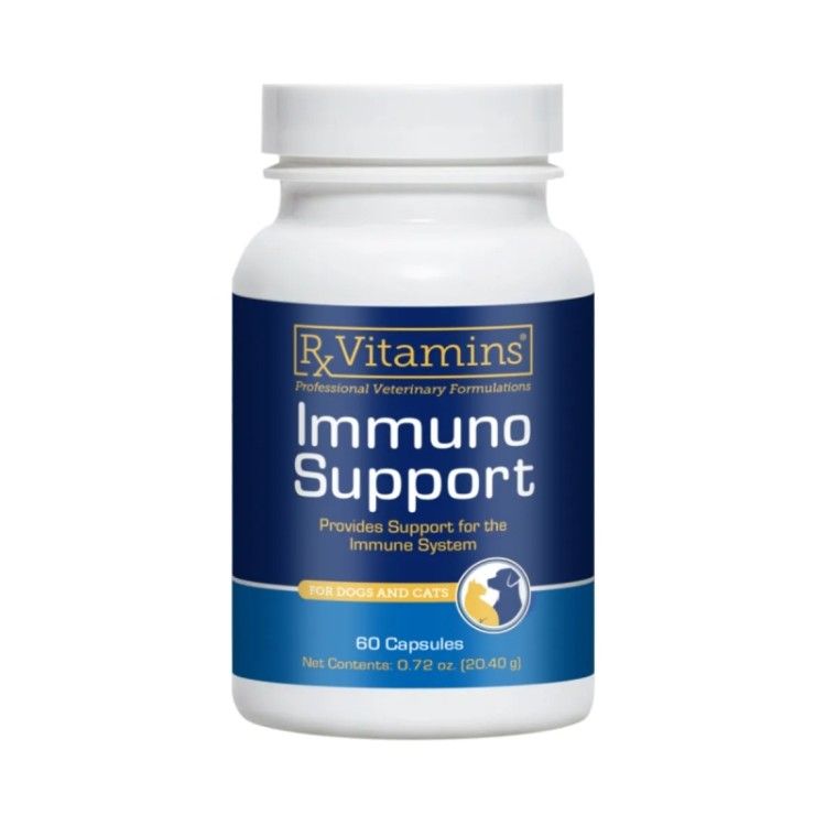 RX Immuno Support 60 capsule - sustine imunitatea 