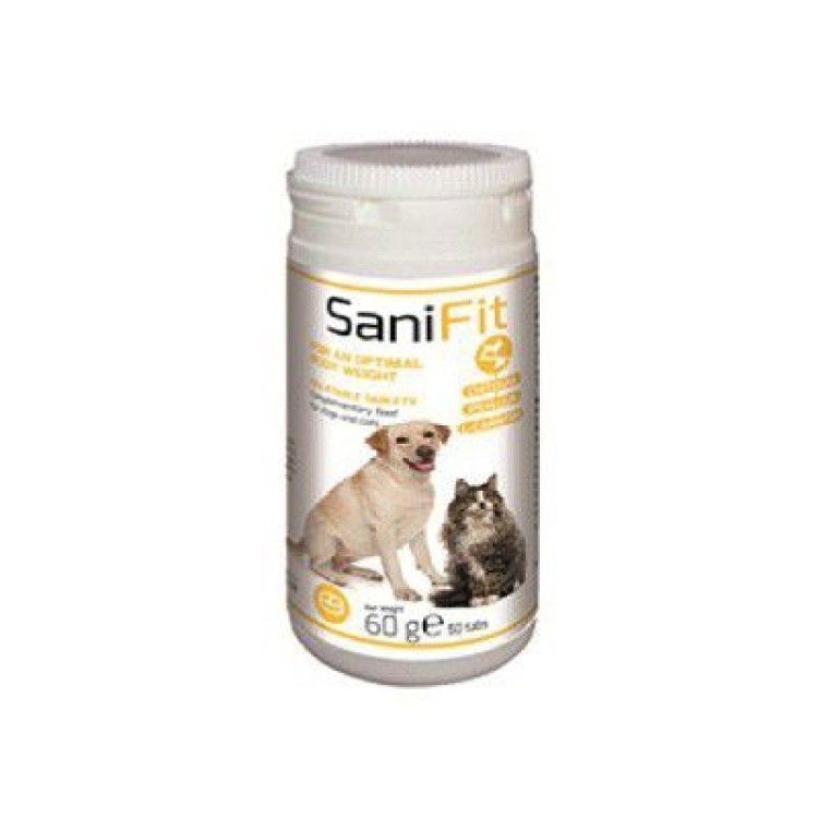 SaniFIT, 60 g