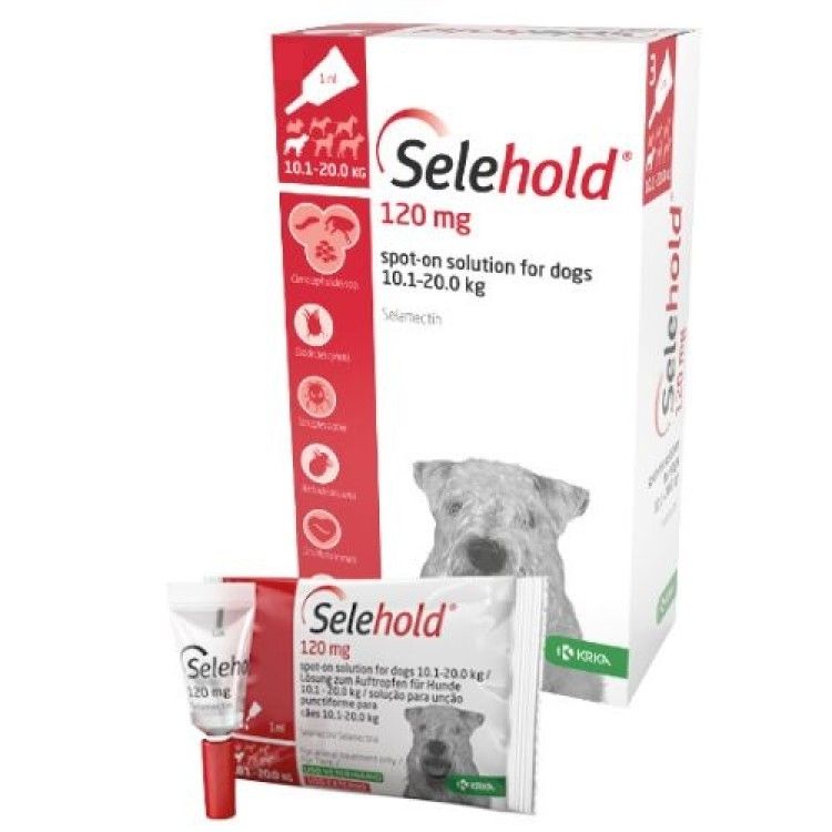 Selehold Dog 120 mg  ml (10.1 - 20 kg), 3 x 1 ml
