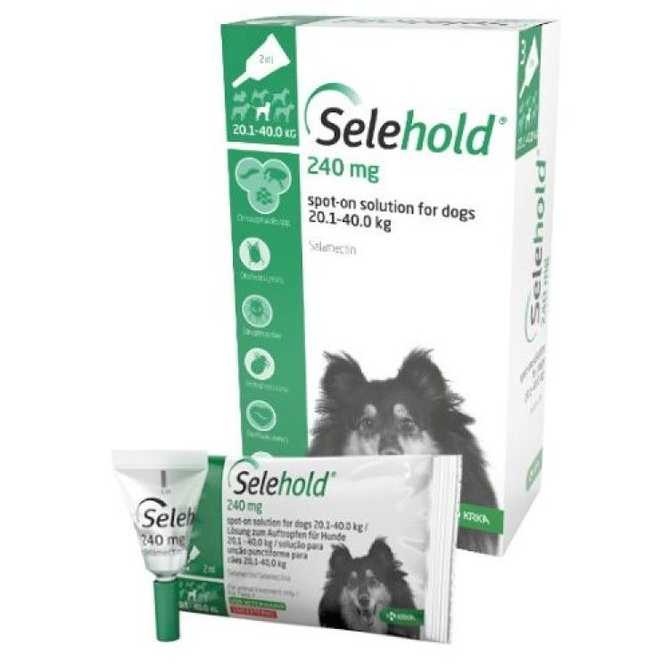 Selehold Dog 240 mg  ml (20.1 - 40 kg), 3 x 2 ml