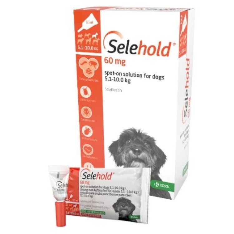 Selehold Dog 60 mg  ml (5.1 - 10 kg), 3 x 0.5 ml