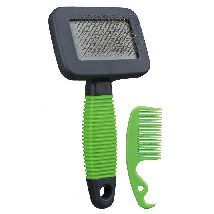 Set Perie si Piaptan 13.5x7 cm 6288 - verde