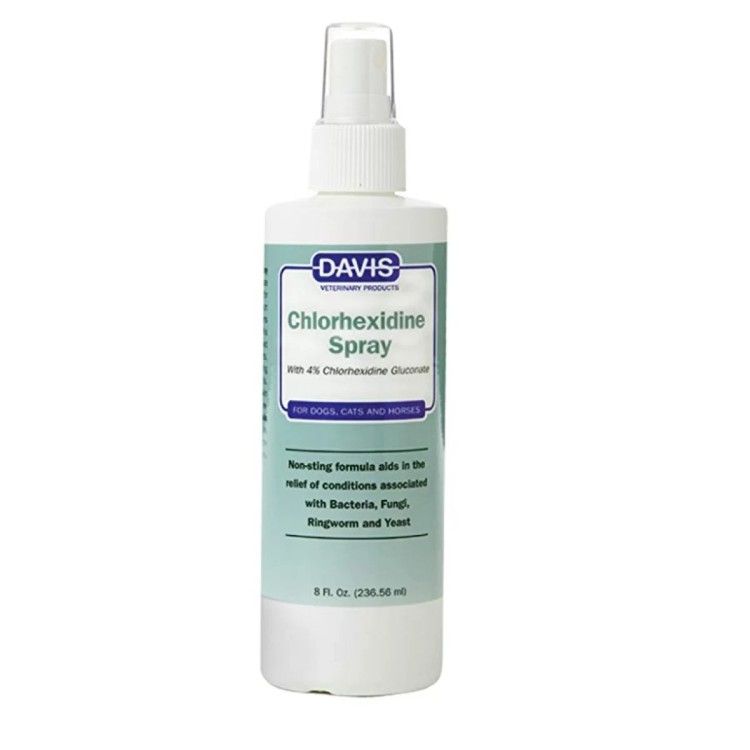 CHLORHEXIDINE 4% SPRAY x 236 ml