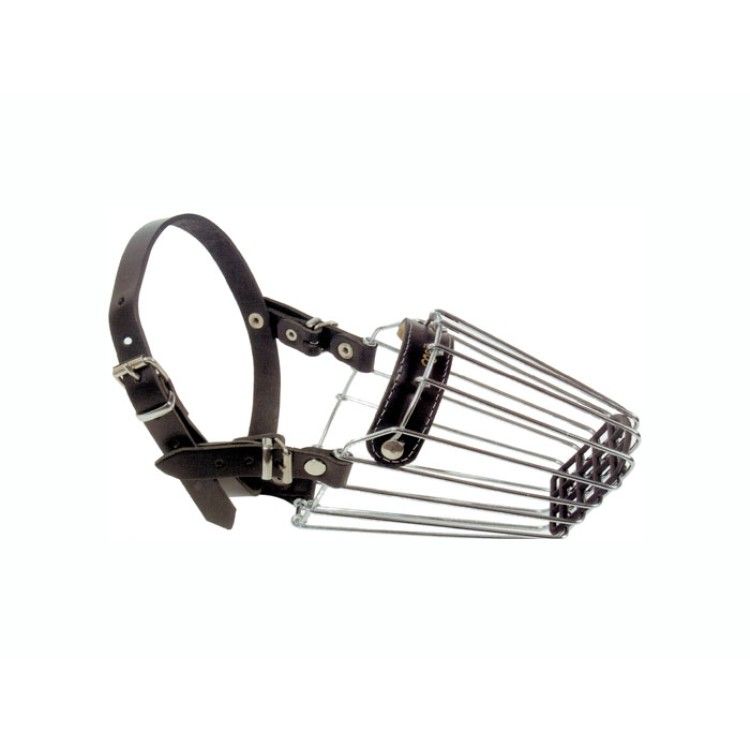 Botnita caine metal Rottweiler mare- PetMart Pet Shop Online