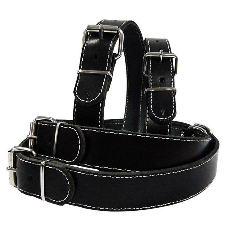 Zgarda Pet Expert Clasic 3,5x70 Cm Negru Nr.8