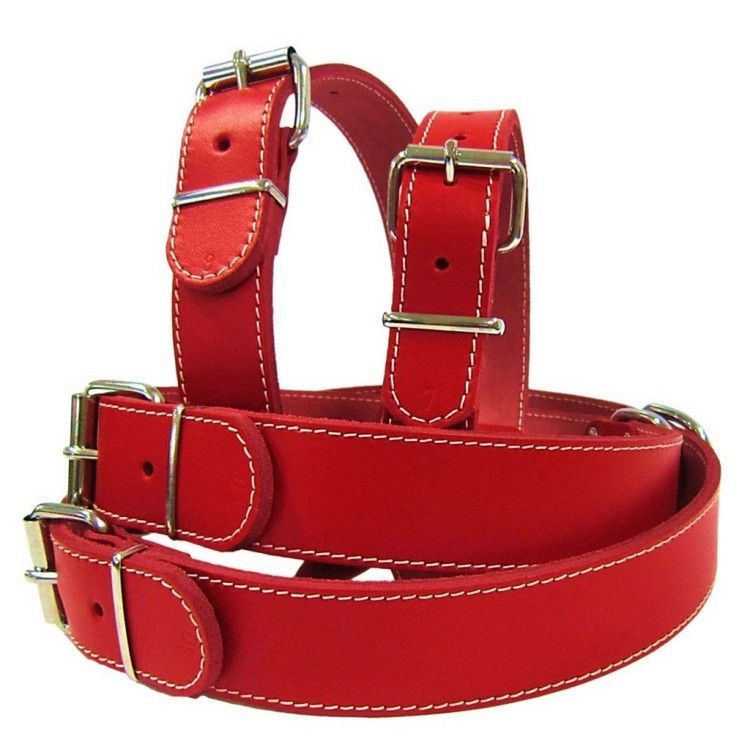 Zgarda Pet Expert Clasic 3,0x62 Cm Rosu Nr.7