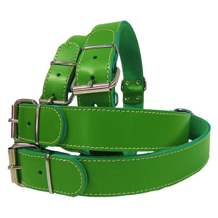 Zgarda Pet Expert Clasic 3,5x70 Cm Verde Nr.8