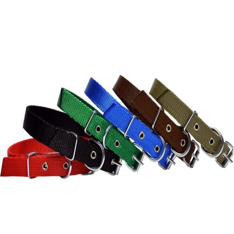 Zgarda Nylon pentru Caini Milan 35 cm