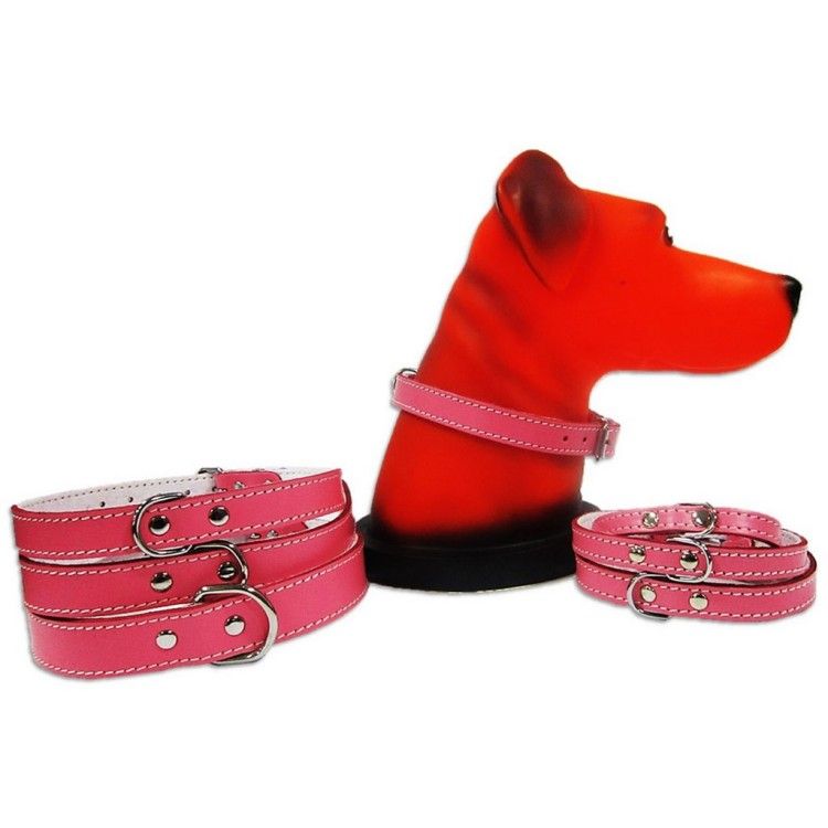 Zgarda Pet Expert Pasla 2,0x50 Cm Roz Nr.5