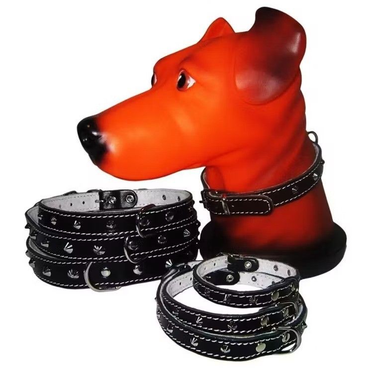 Zgarda Pet Expert Capse 1,8x45 Cm