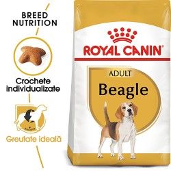 Royal Canin Beagle Adult hrana uscata caine, 3 kg