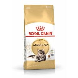 Royal Canin Maine Coon Adult hrana uscata pisica, 4 kg