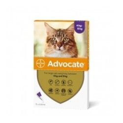 Advocate Cat 4-8 kg x 3 pipete