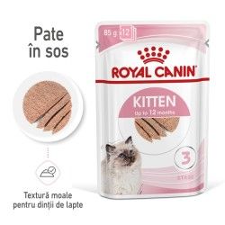 Royal Canin Kitten hrana umeda pisica (pate), 12 x 85 g