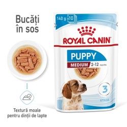 Royal Canin Medium Puppy hrana umeda caine junior (in sos), 10 x 140 g