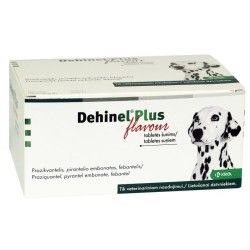 Dehinel Plus Flavour, 1 comprimat