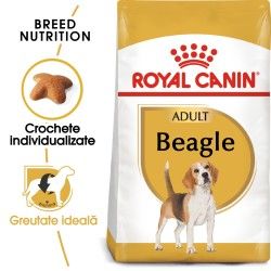 Royal Canin Beagle Adult, 3 kg