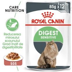 Royal Canin Digest Sensitive Care Adult, hrana umeda pisica in sos/ gravy, 12x85 g