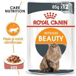 Royal Canin Intense Beauty Care Adult hrana umeda pisica, piele/ blana sanatoase (in sos), 12x85 g