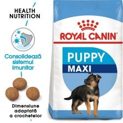 Royal Canin Maxi Puppy hrana uscata caine junior