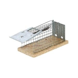 Capcana Pentru Soareci Alive Din Metal Kerbl 12x5.5x5.5 cm (Fitosanitare)