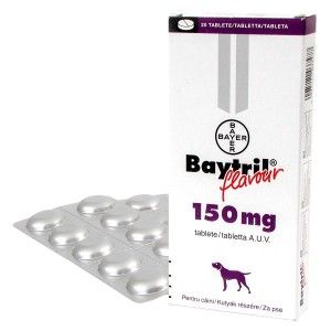 Baytril Flavoured 150 mg antibiotic pe baza de enrofloxacina pentru caini si pisici