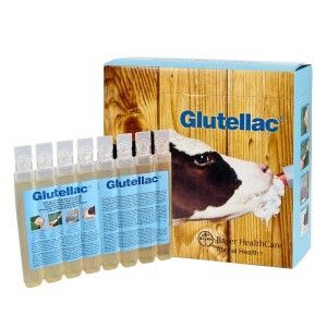 Glutellac 3x8x 50 ml