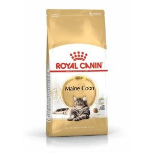 Royal Canin Maine Coon Adult hrana uscata pisica, 4 kg 