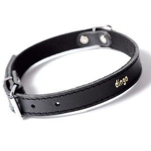 Zgarda piele caine Dingo-Negru-30 cm-1 cm