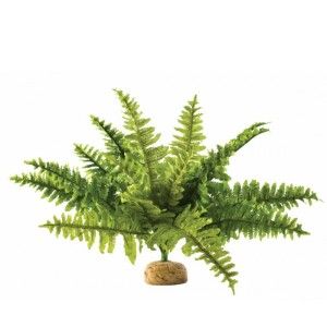 EXO TERRA PLANTA BOSTON FERN SMALL PT2990