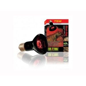 Bec Hagen Exo Terra Heat Glo R25 100 W PT-2144