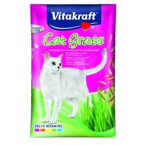 Recompensa pisici, Vitakraft Cat Grass, 50 g