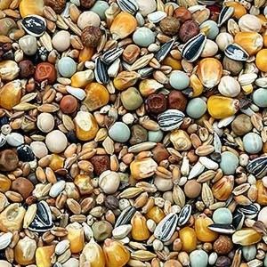 GARVO HRANA PORUMBEI ECONOMY MOULTING/RESTING 20 KG 1810