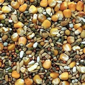 GARVO HRANA PORUMBEI G-SPIRITS SPRINT 20 KG 7001