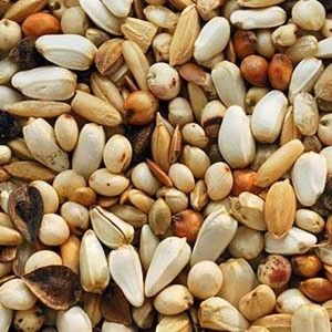 GARVO HRANA PORUMBEI SUPER ENERGY 20 KG 3815