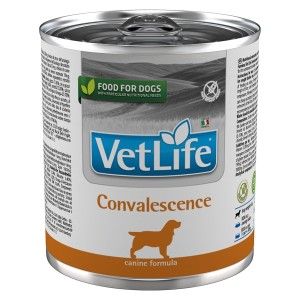 Vet Life Natural Diet Dog Convalescence, conserva, 300 g