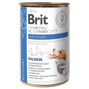 Brit GF Veterinary Diets Dog and Cat Recovery, 400 g