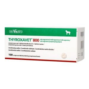 Thyroxavet 800 mcg x 100 tablete palatabile