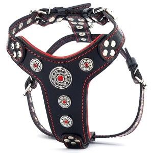 Bestia Ham Bijou, Piele Naturala, S: 40-73 cm, Negru/ Rosu (Hamuri)
