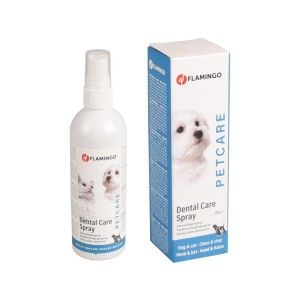SPRAY IGIENA DENTARA 175ML/510954(6/bax)(60/cut) (Igiena - Caini)