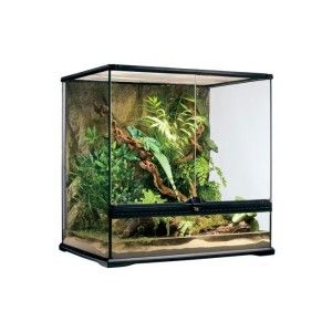 Terariu Sticla Hagen Exo Terra 60 x 45 x 60 cm