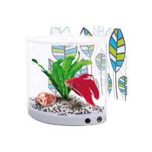 ACVARIU PENTRU PESTI, BETTA "ANGULO" 17x10x16CM*1.3L
